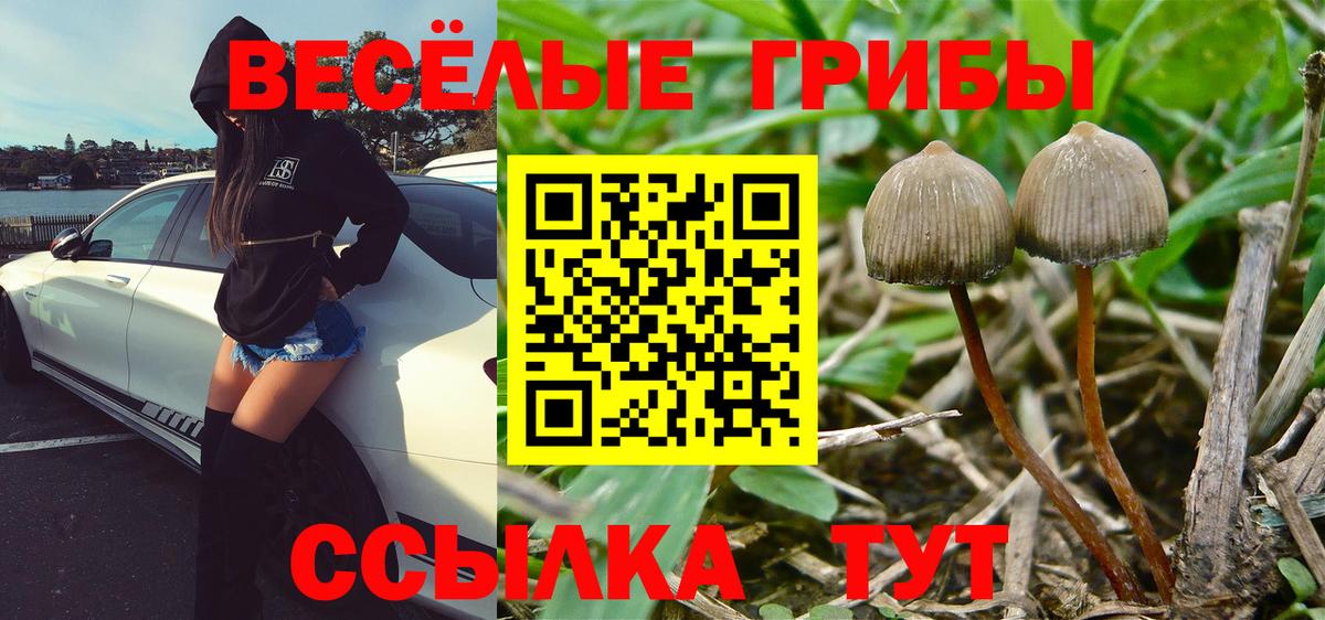 Псилоцибиновые грибы мухоморы Калач-на-Дону
