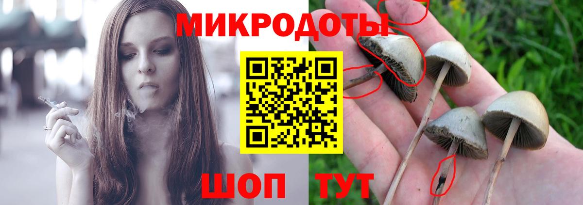 Галлюциногенные грибы прущие грибы  Вход с VPN  Калач-на-Дону 